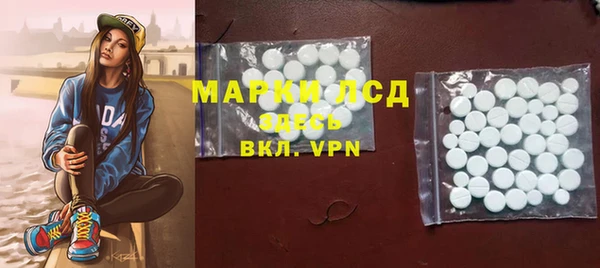 твердый Арсеньев
