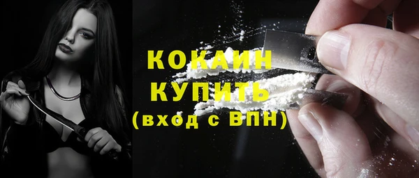 твердый Арсеньев