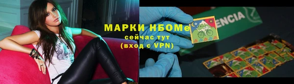 твердый Арсеньев
