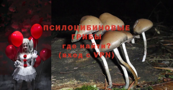 твердый Арсеньев