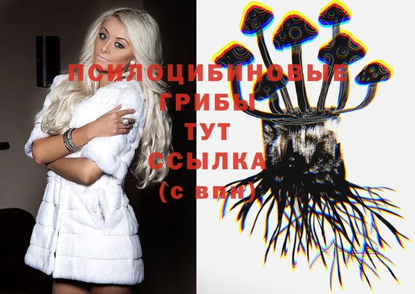 твердый Арсеньев